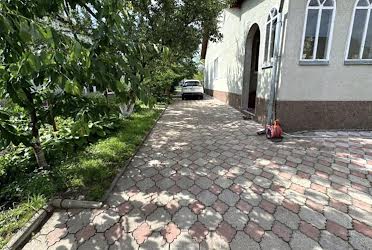 1806986689698083