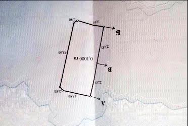 1833261231242847