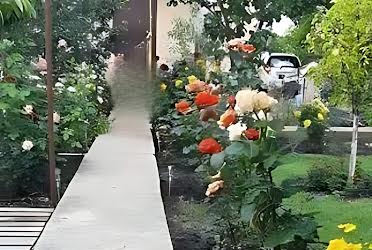 1836434168981860
