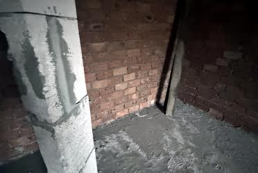 1835338423495894