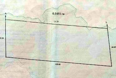 1831094519608915