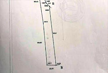 1833445766309915