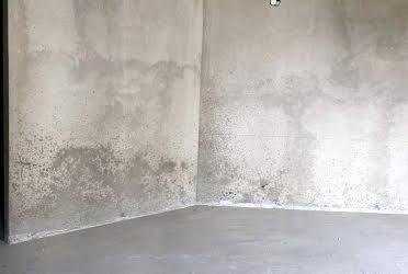 1836342779883924