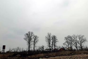1829651404290933