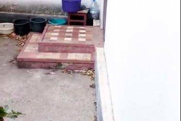 1782557069571938