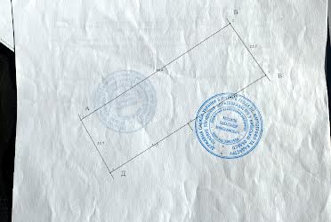 1831911736259940
