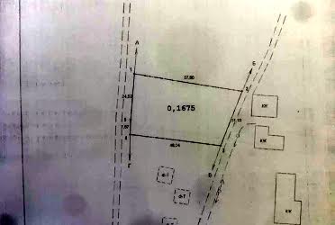 1835158986145962
