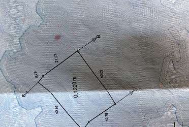 1831915638867970