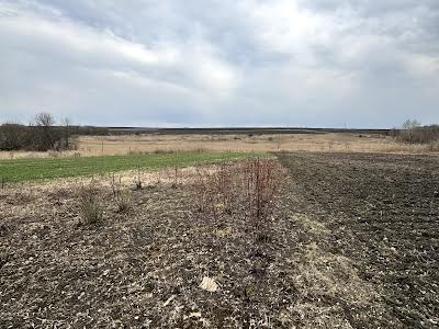 будинок за адресою с. Куп'єваха, Дачна