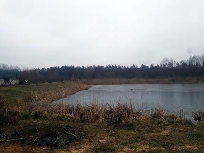 будинок за адресою с. Старі Безрадичі, Стугна