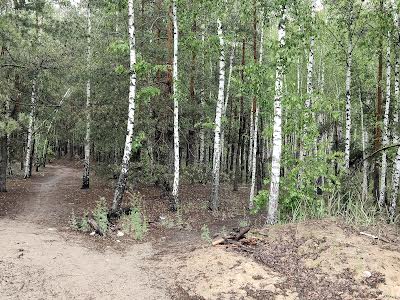 квартира за адресою Богдана Ступки пров., 11