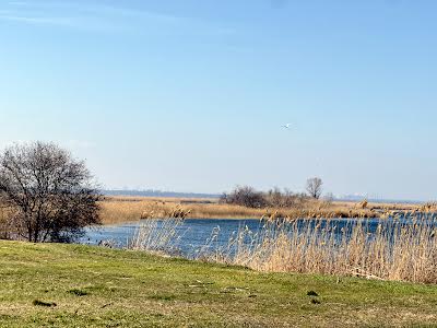 будинок за адресою с. Олександрівка, Дачна