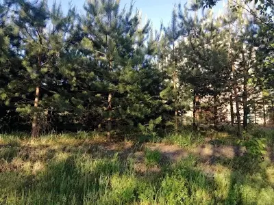 будинок за адресою Бєлградська вул.