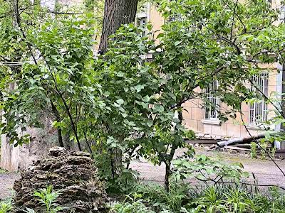 квартира по адресу Ольгиевский спуск, 5