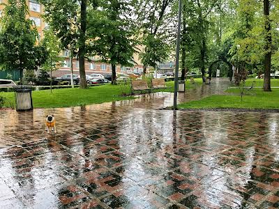квартира за адресою Мечникова вул., 116