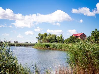 ділянка за адресою с. Новоселівка, Польова