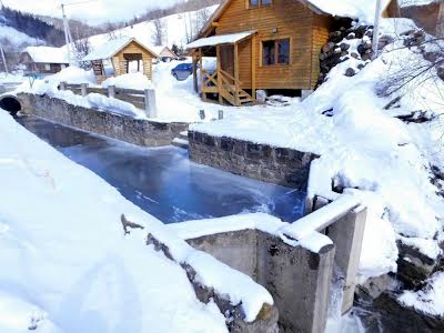 комерційна за адресою с. Орявчик, Під тисою, 10