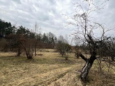 участок по адресу запасіка, 19