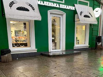 комерційна за адресою Італійська вул. (Пушкінська), 81