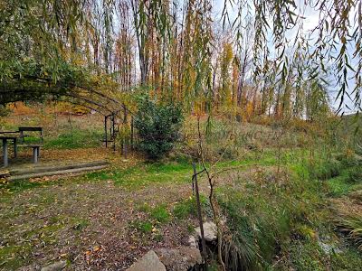 будинок за адресою с. Нижнє Солотвино, Центральна
