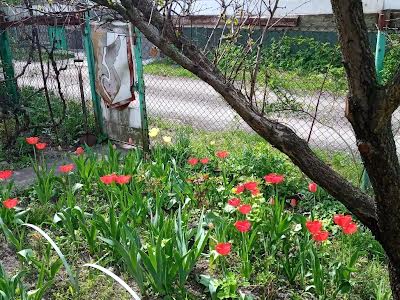 будинок за адресою Богатирська вул., 42