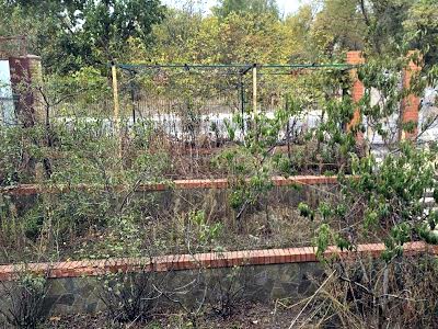 дом по адресу 3-тя Дамбова вул., 3