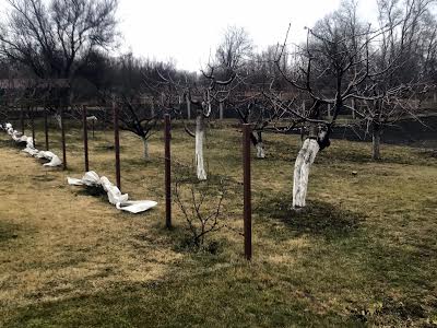 дом по адресу Яготин, Черняхівка