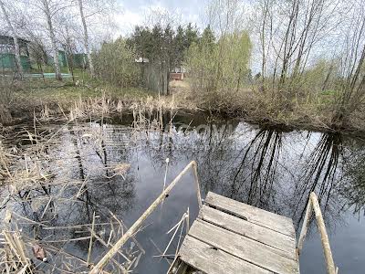 будинок за адресою с. Нижча Дубечня, Проспект Миру, 25