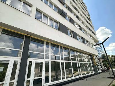 комерційна за адресою Володимира Великого вул., 10
