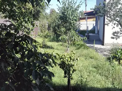 будинок за адресою Садова вул., 165