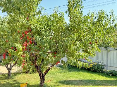 будинок за адресою Боярка, Кочергіна