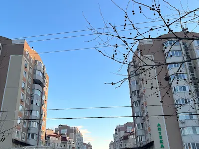 квартира за адресою Лесі Українки бульв., 10