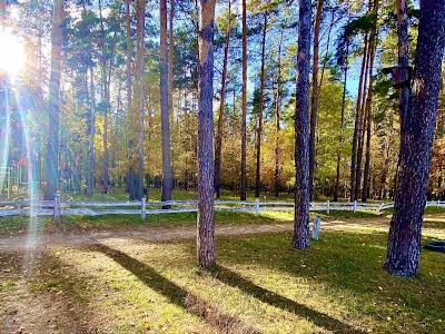 дом по адресу Вітянська