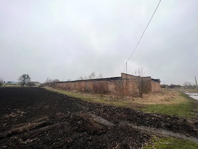 коммерческая по адресу  Теляж, шувченка, 5