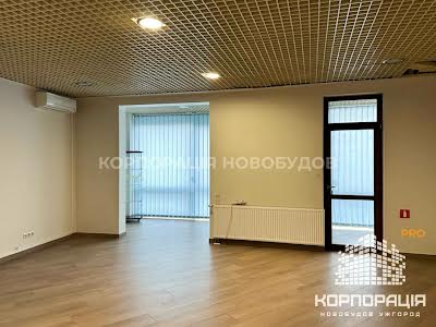 комерційна за адресою Жупанатська, 1