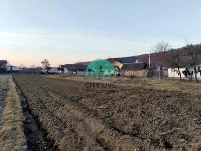 ділянка за адресою Лісова вул., 15