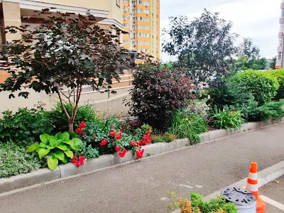 квартира за адресою Сім'ї Кульженків вул. (Петра Дегтяренка), 35