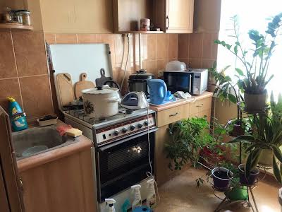 квартира за адресою Паркова вул. (Савчука), 3
