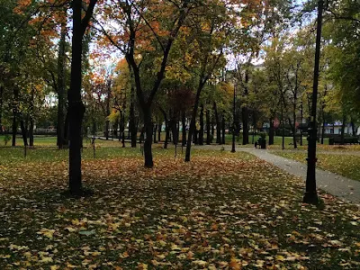 квартира по адресу Петропавловская ул., 13/8