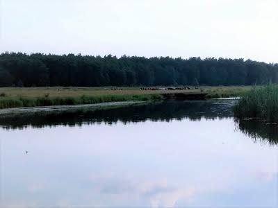 дом по адресу с. Черногородка, Садова, 10