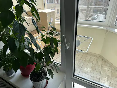 квартира за адресою Бишівська вул., 7