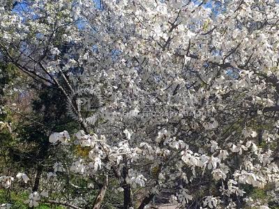 квартира за адресою Загорівська вул. (Багговутівська), 25