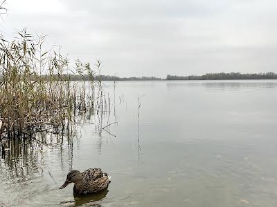 квартира по адресу Крушельницкой Соломии ул., 13