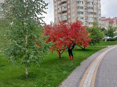 квартира за адресою Богдана Хмельницького вул., 11