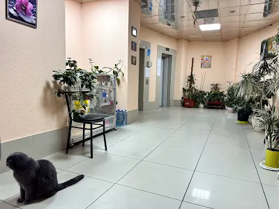 квартира по адресу Евгения Коновальца ул. (Щорса), 32-Б