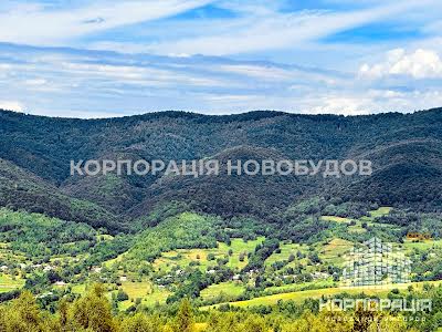 дом по адресу с. Вышка, урочище Красія