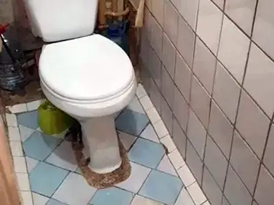 квартира по адресу Леся Курбаса просп., 4