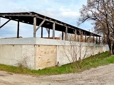 коммерческая по адресу дружби, 22