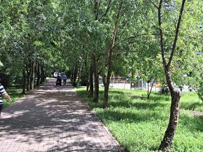 квартира за адресою Урлівська вул., 24