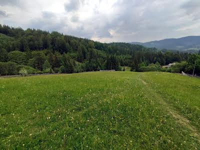 ділянка за адресою с. Кривопілля, коротеньке